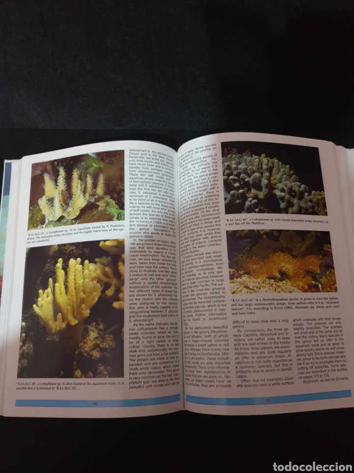 Libros: The Modern Coral Reef Aquarium - Foto 4