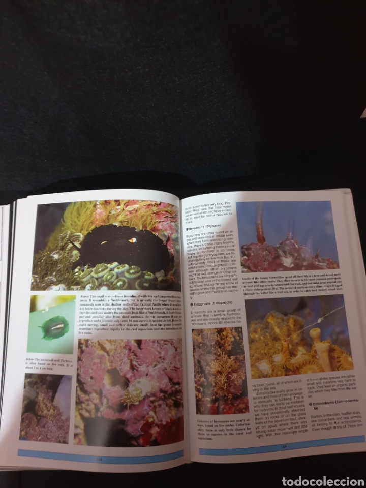 Libros: The Modern Coral Reef Aquarium - Foto 5