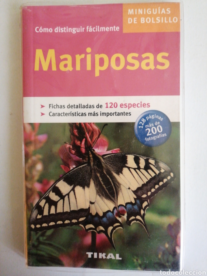 Libros: C&oacute;mo distinguir f&aacute;cilmente Mariposas - Foto 1