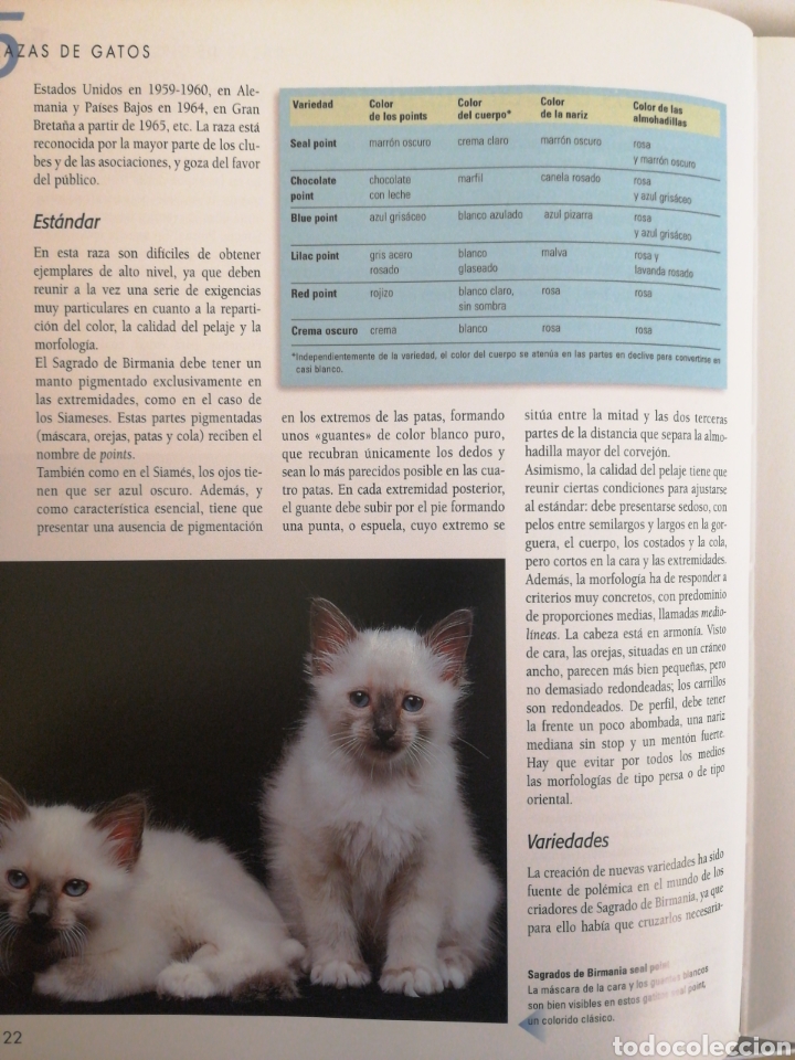 Libros: Larousse del Gato - Foto 2