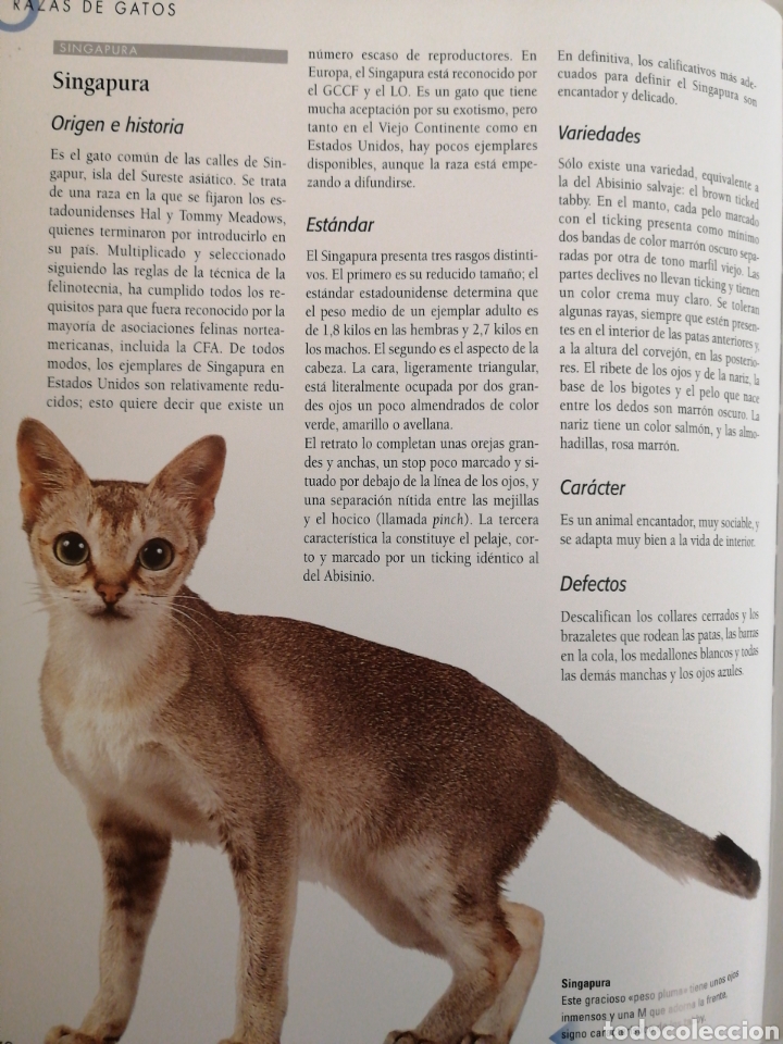 Libros: Larousse del Gato - Foto 3