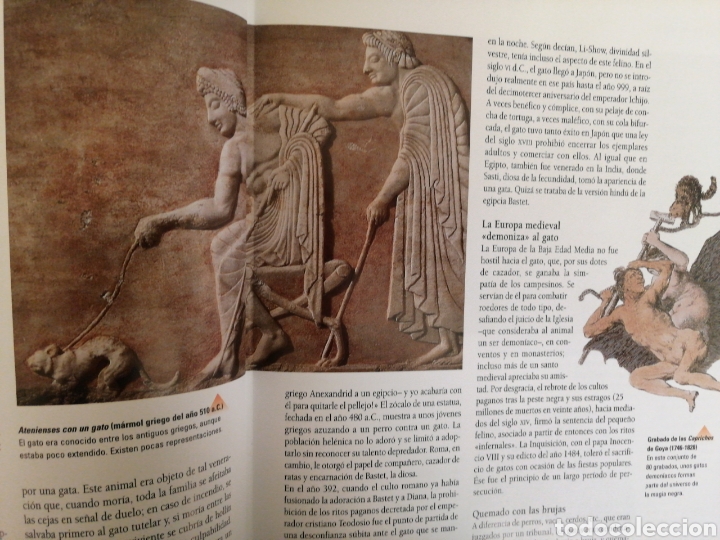 Libros: Larousse del Gato - Foto 4
