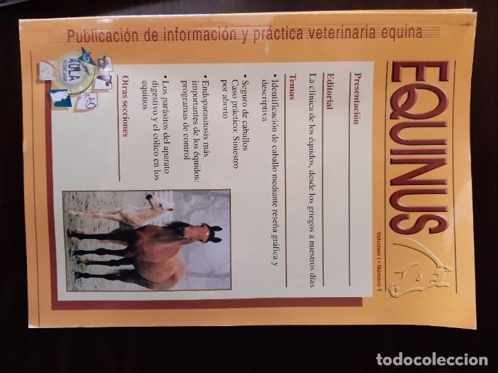 Libros: QUINUS REVISTA NUMEROS 1 AL 9 - Foto 1