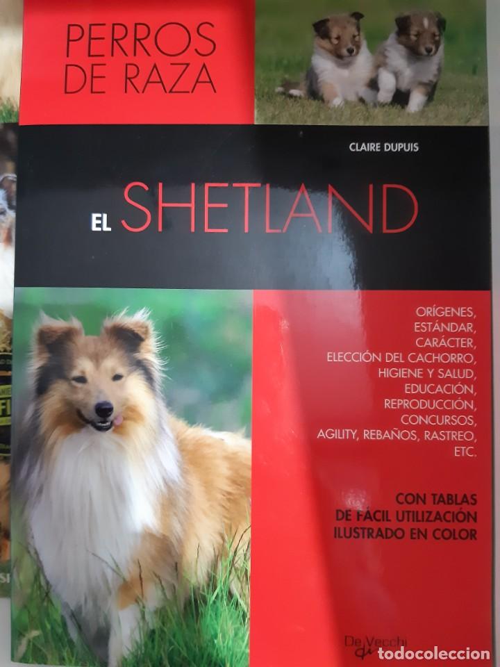 Libros: EL SHETLAND COLLIE CLAIRE DUPUIS - Foto 1