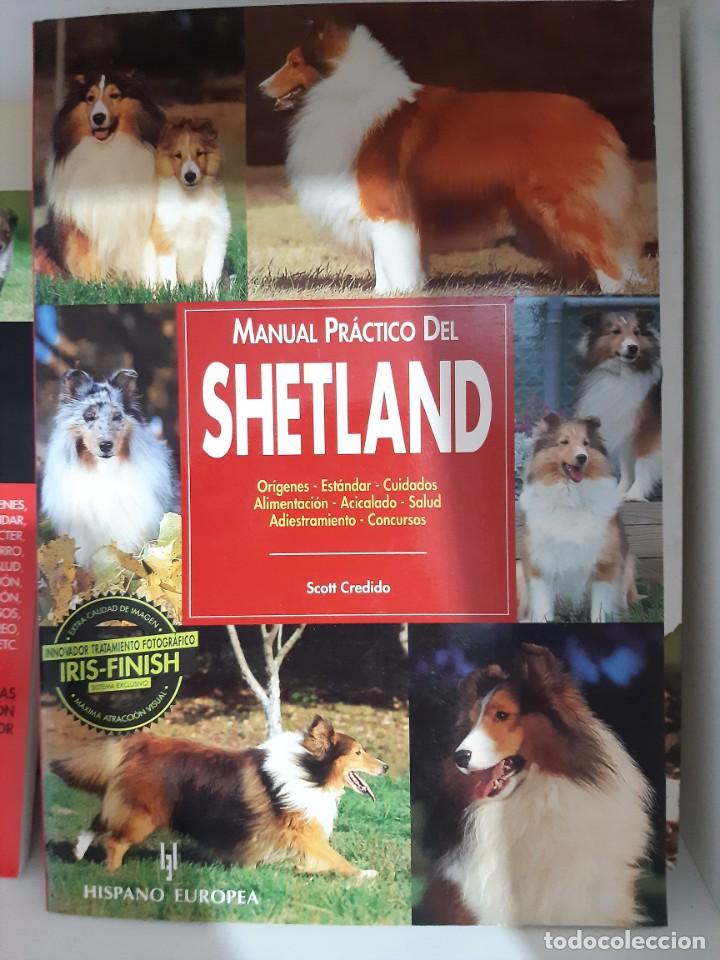 Libros: MANUAL PRACTICO DEL SHETLAND COLLIE - Foto 1