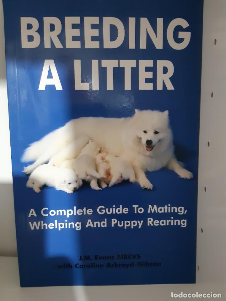 Libros: BREEDING A LITTER CRIA PERRO - Foto 1