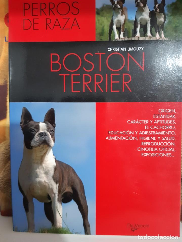 Libros: BOSTON TERRIER - Foto 1