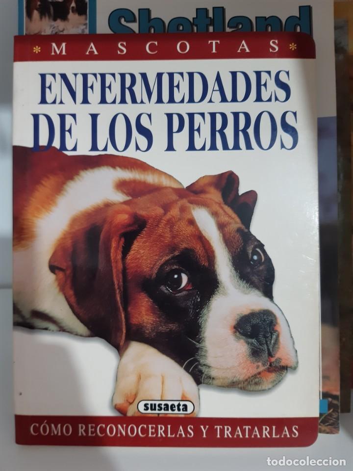 Libros: ENFERMEDADES DE LOS PERROS - Foto 1