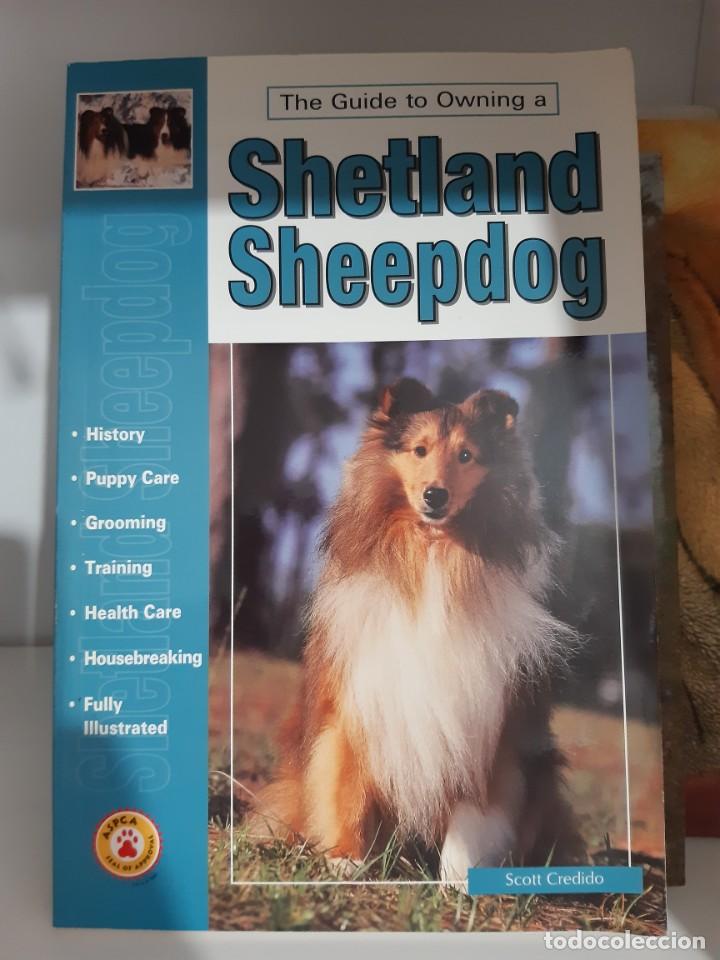 Libros: SHETLAND SHEEPDOG COLLIE PERROS - Foto 1
