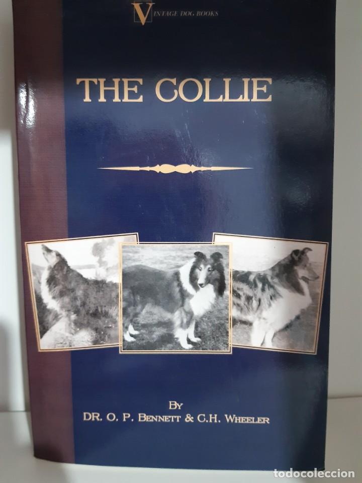 Libros: THE COLLIE BENNETT WHEELER - Foto 1