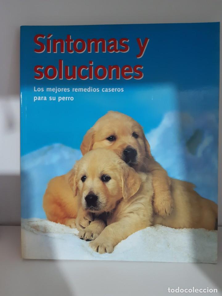 Libros: SINTOMAS Y SOLUCIONES PERROS - Foto 1