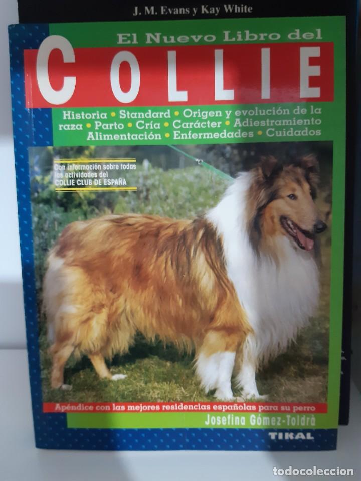 Libros: COLLIE JOSEFINA GOMEZ TOLDRA - Foto 1