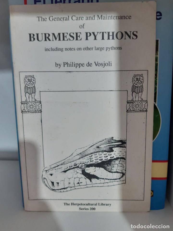 Libros: PITON DE BURMEO BURMESE PYTHONS - Foto 1