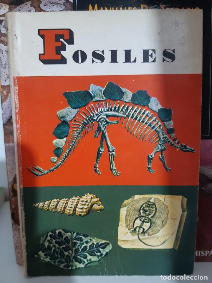 Libros: FOSILES - Foto 1