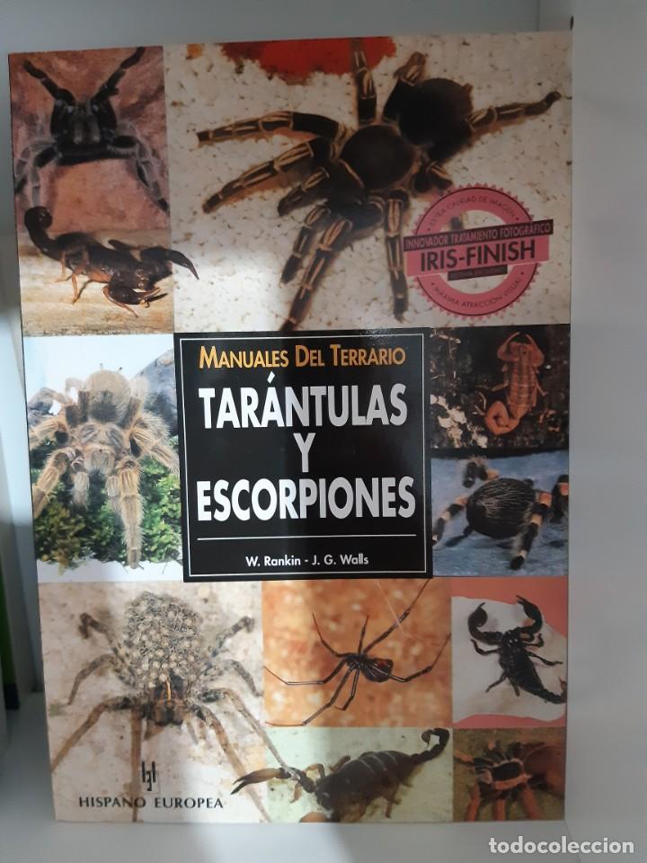 Libros: TARANTULAS Y ESCORPIONES TERRARIO - Foto 1