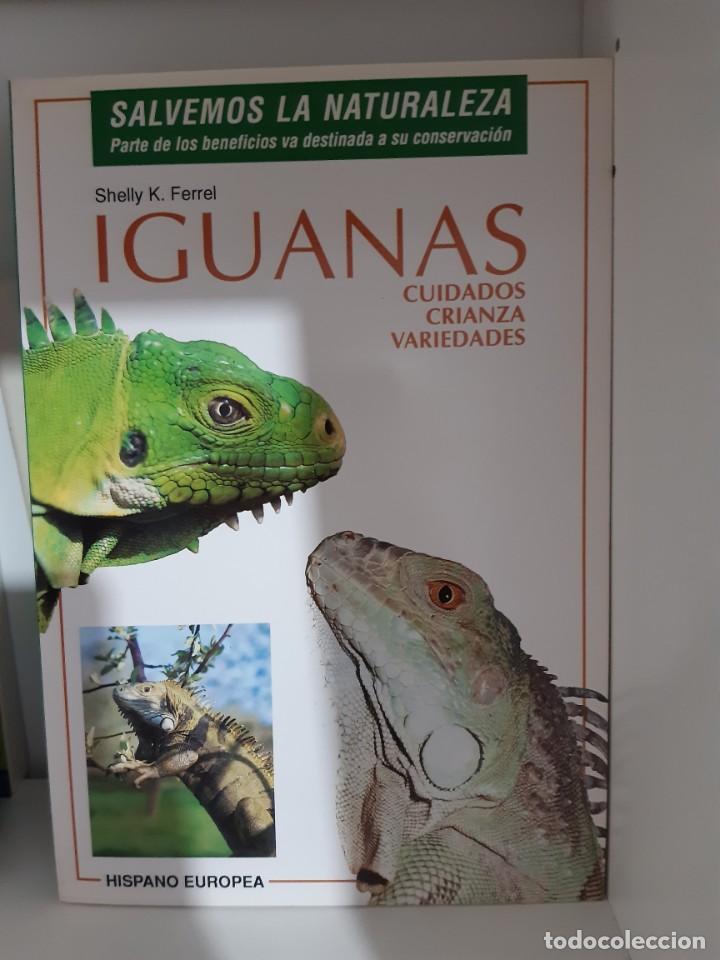 Libros: IGUANAS - Foto 1
