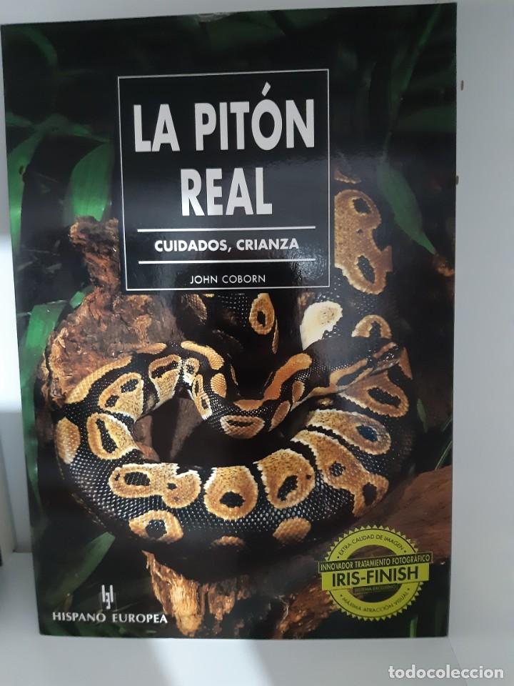 Libros: LA PITON REAL TERRARIO - Foto 1
