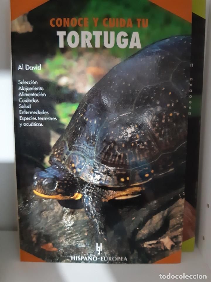 Libros: CONOCE Y CUIDA TU TORTUGA - Foto 1