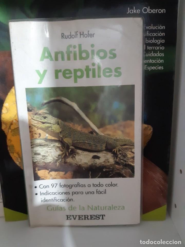 Libros: ANFIBIOS Y REPTILES - Foto 1