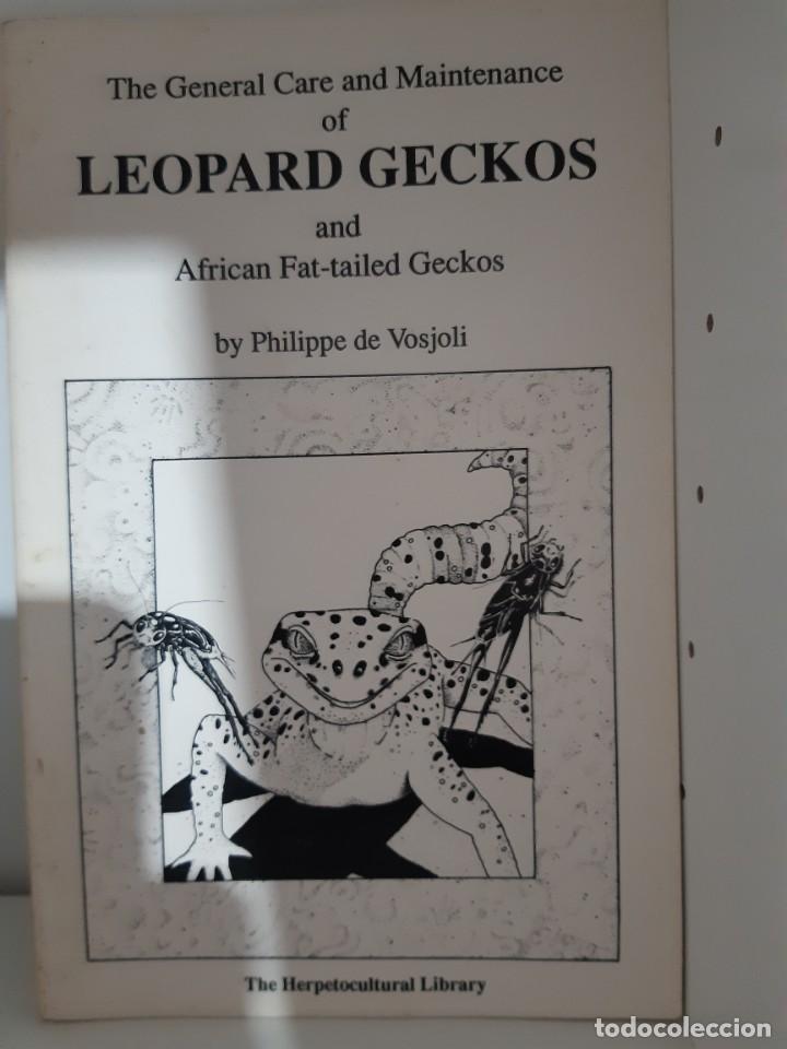 Libros: GECKO LEOPARDO LEOPARD GECKOS - Foto 1