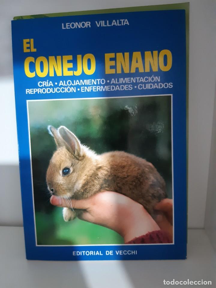 Libros: EL CONEJO ENANO - Foto 1