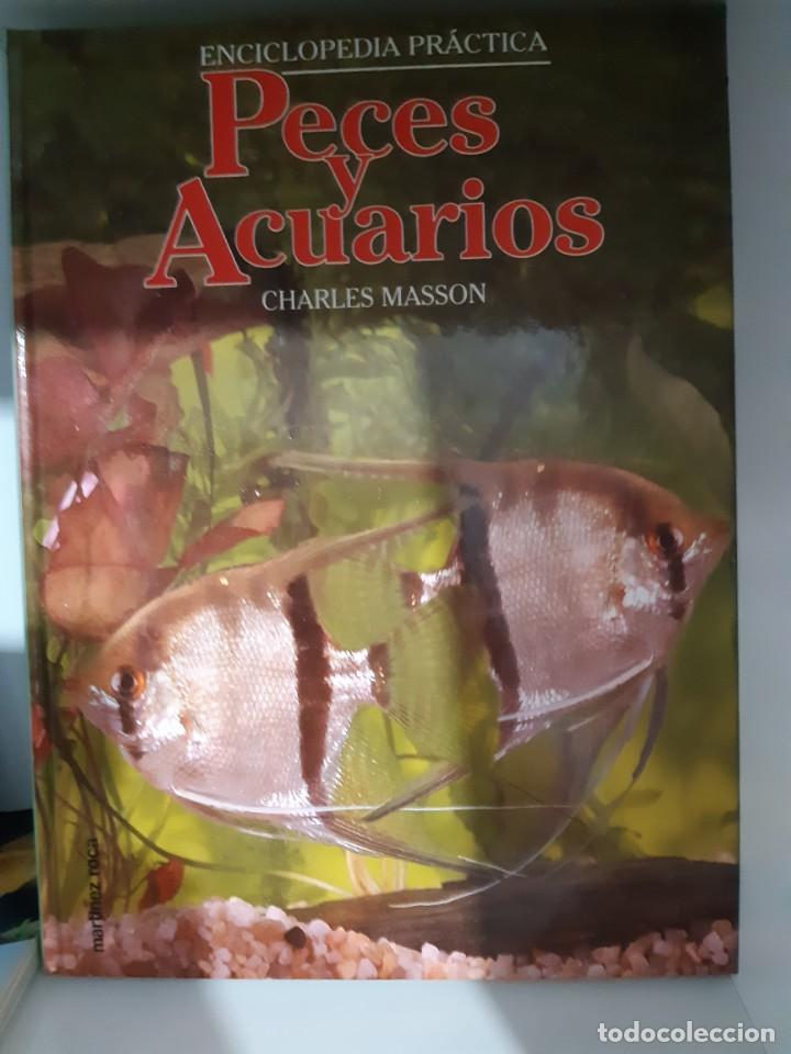 Libros: PECES Y ACUARIOS CHARLES MASSON - Foto 1