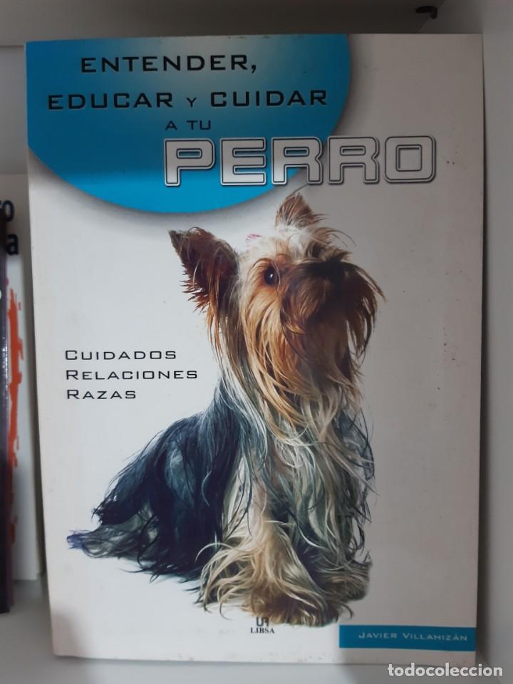 Libros: ENTENDER EDUCAR Y CUIDAR A TU PERRO - Foto 1