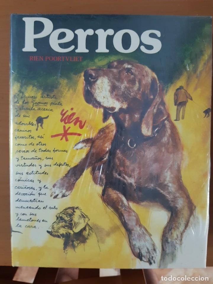Libros: PERROS RIEN POORTVLIET - Foto 1