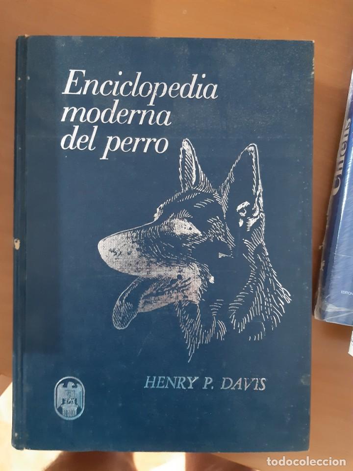 Libros: ENCICLOPEDIA MODERNA DEL PERRO HENRY P DAVIS - Foto 1