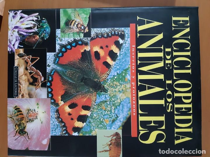 Libros: ENCICLOPEDIA DE LOS ANIMALES 6 TOMOS - Foto 1