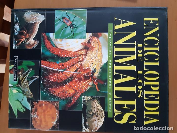Libros: ENCICLOPEDIA DE LOS ANIMALES 6 TOMOS - Foto 2
