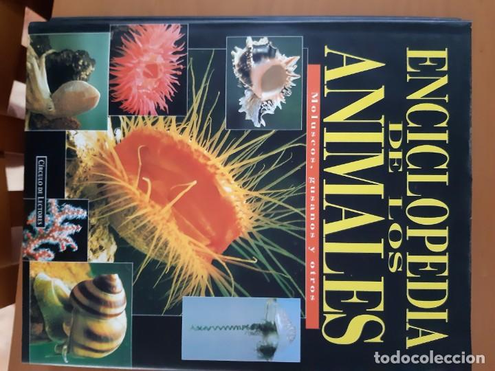 Libros: ENCICLOPEDIA DE LOS ANIMALES 6 TOMOS - Foto 3