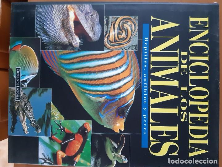 Libros: ENCICLOPEDIA DE LOS ANIMALES 6 TOMOS - Foto 4