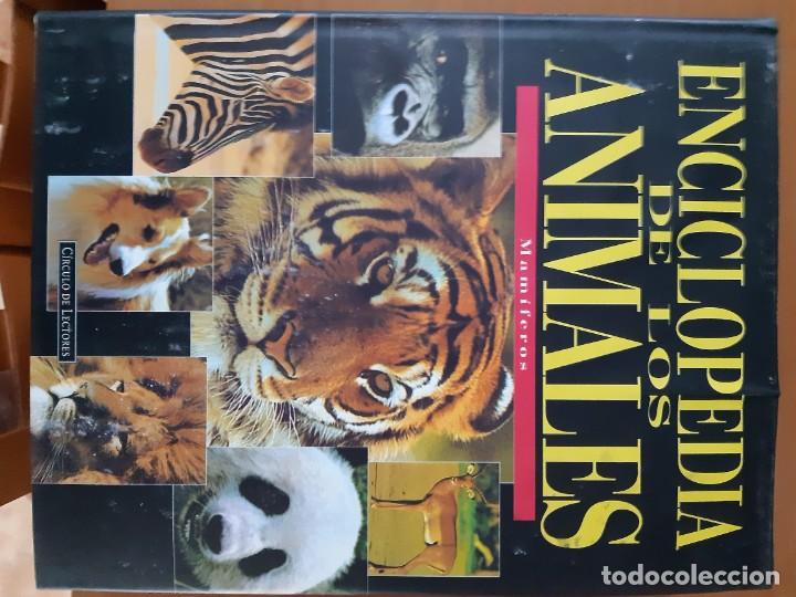 Libros: ENCICLOPEDIA DE LOS ANIMALES 6 TOMOS - Foto 5