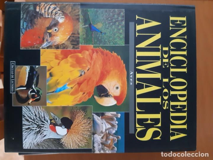 Libros: ENCICLOPEDIA DE LOS ANIMALES 6 TOMOS - Foto 6