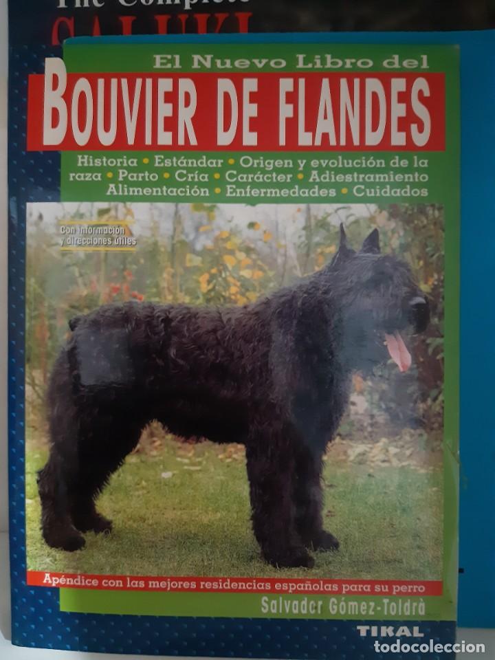 Libros: BOUVIER DE FLANDES - Foto 1