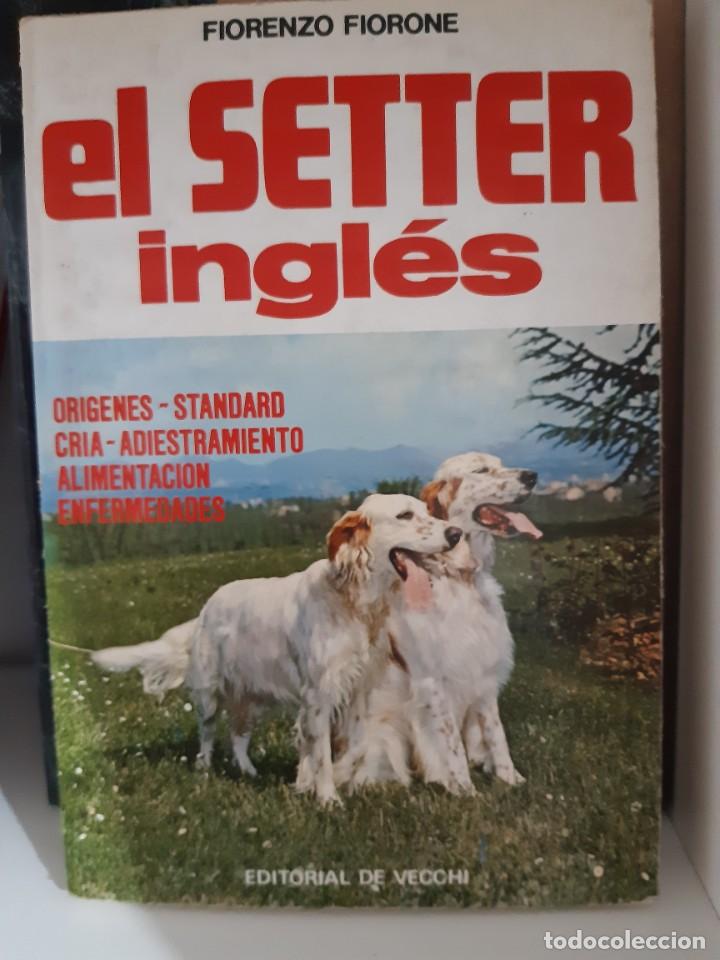 Libros: EL SETTER INGLES - Foto 1