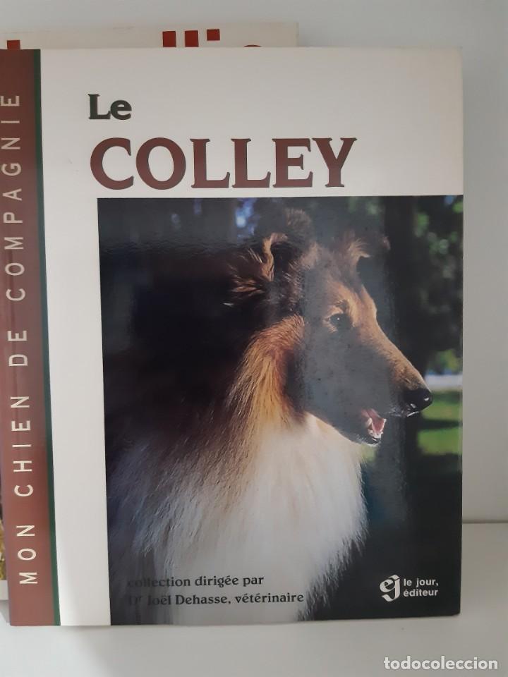 Libros: LE COLLIE - Foto 1