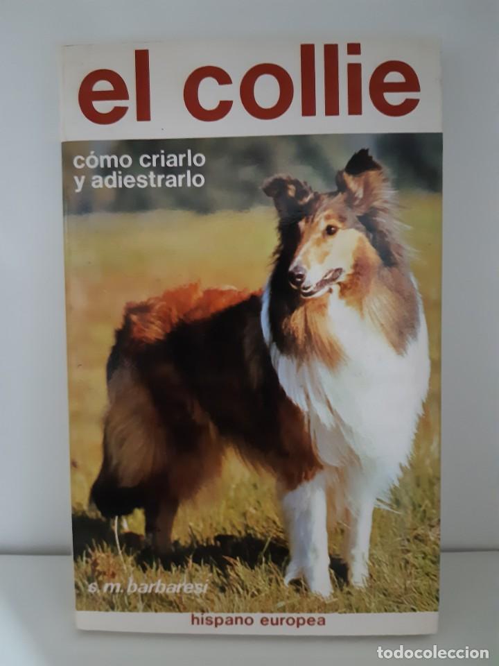Libros: EL COLLIE - Foto 1