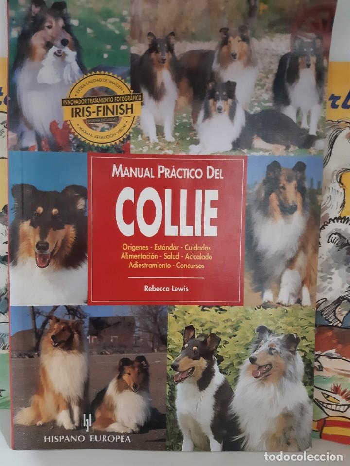Libros: MANUAL PRACTICO DEL COLLIE - Foto 1