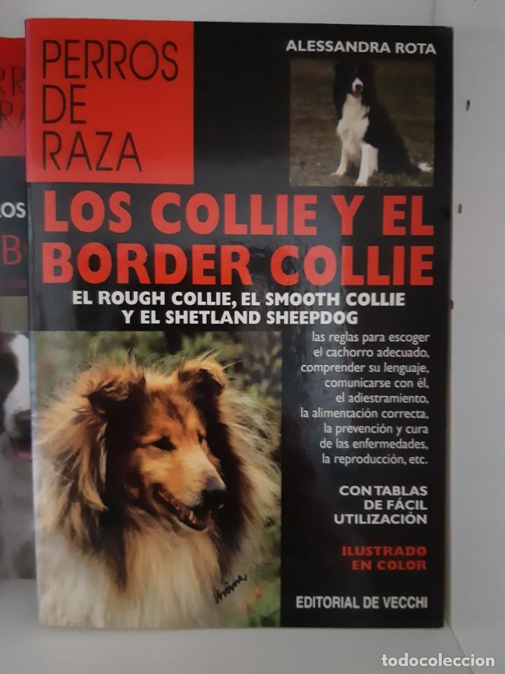 Libros: LOS COLLIE Y EL BORDER COLLIE - Foto 1