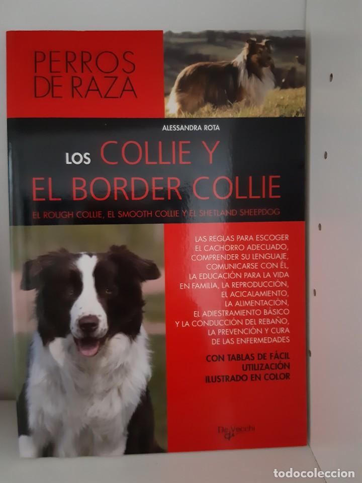 Libros: LOS COLLIE Y EL BORDER COLLIE - Foto 1