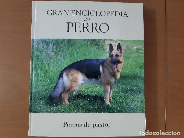 Libros: PERROS DE PASTOR DOS TOMOS - Foto 1