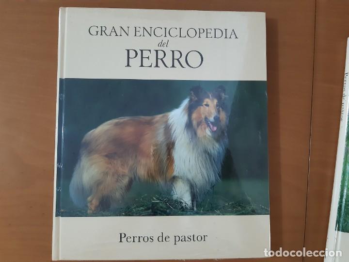 Libros: PERROS DE PASTOR DOS TOMOS - Foto 2