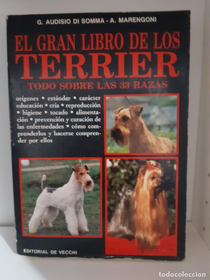 Libros: EL GRAN LIBRO DE LOS TERRIER - Foto 1