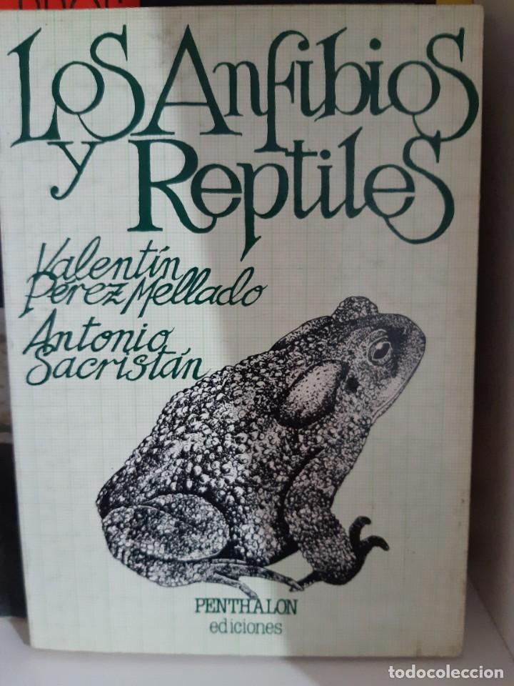 Libros: LOS ANFIBIOS Y REPTILES - Foto 1