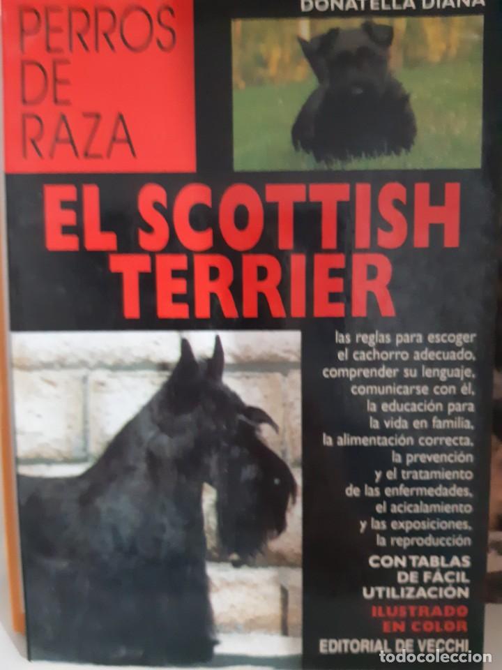 Libros: EL SCOTTISH TERRIER - Foto 1