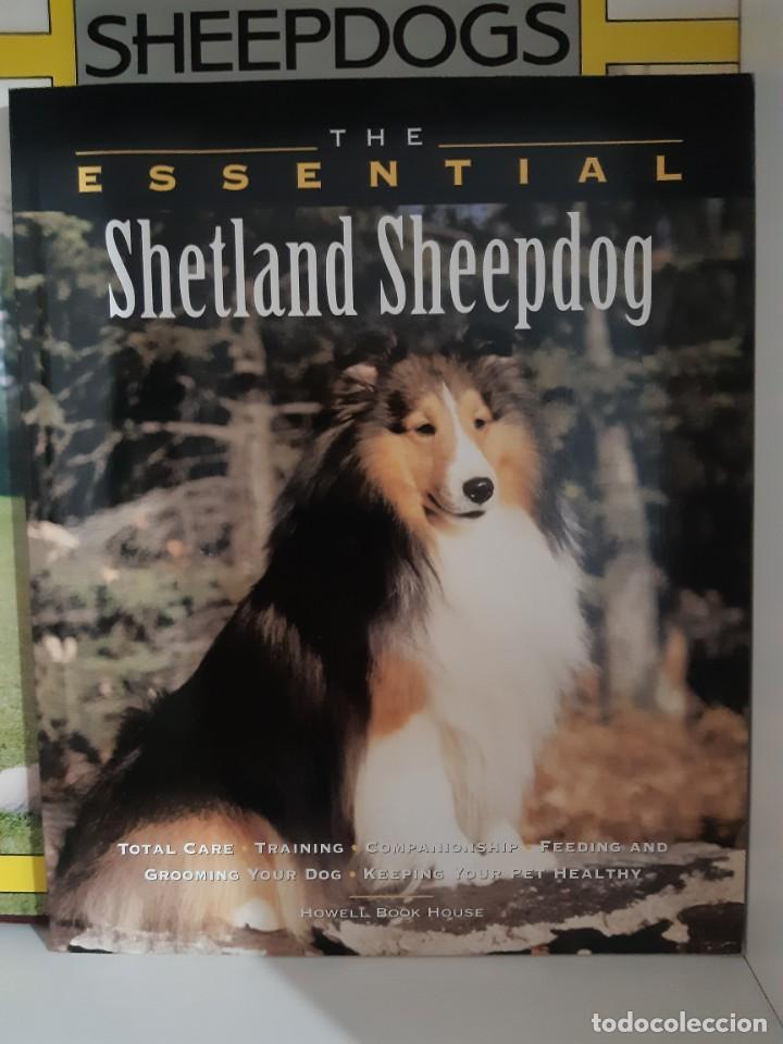 Libros: SHETLAND SHEEDOG COLLIE - Foto 1