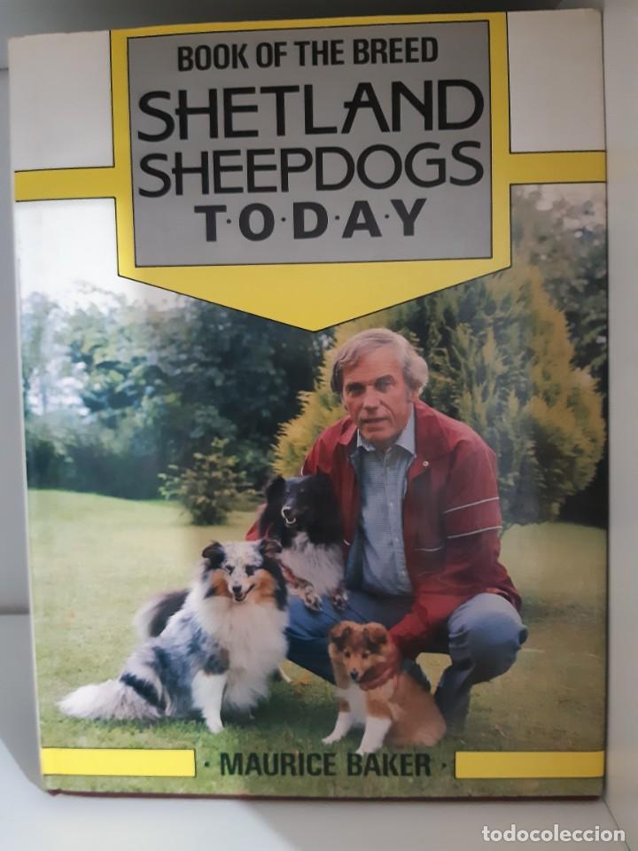 Libros: SHETLAND SHEEPDOG COLLIE - Foto 1