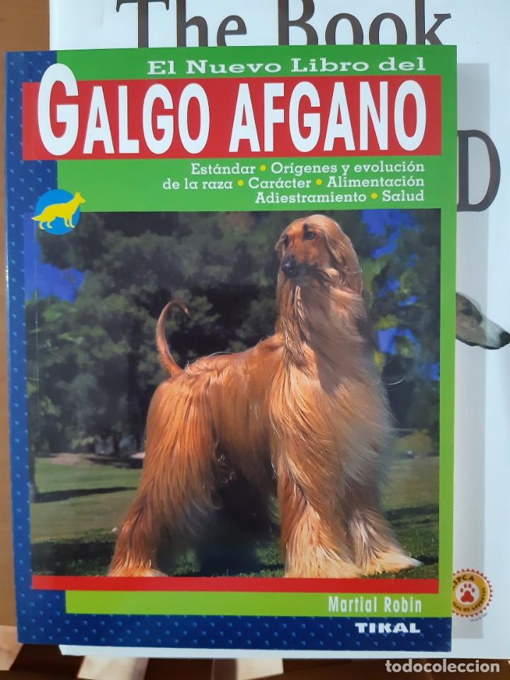 Libros: GALGO AFGANO - Foto 1
